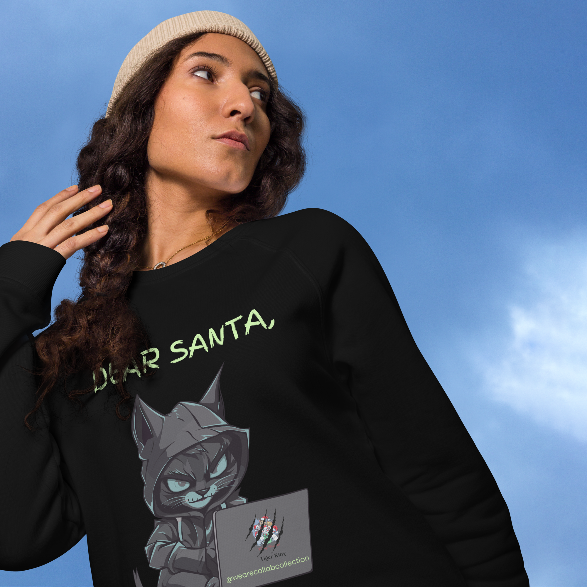 Dear Santa, T. Kitty Sweatshirt